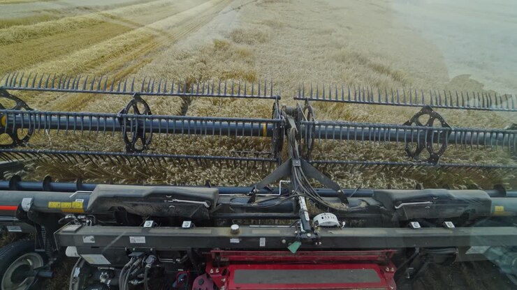 Agricultural equipment for gathering crop. Metal part of combine harvester cutting ripe wheat on the field. Close-up. View from combine.