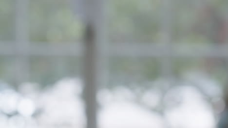 고요한 배경 창문 자동차 지나가는 드라이브 여름 거리 도로 보케 피사계 심도 흐릿한 흐림 배경 나무 숲 바람 고요한 요가 웹 사이트 헤더 추상 미술 플레이트 바쁜 교통 외부