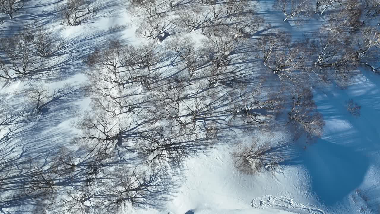 Ovenfra-optagelse over Japans Myoko bjergtop, kameraet flyver over en sneklædt klippekant ned mod dalen nedenfor