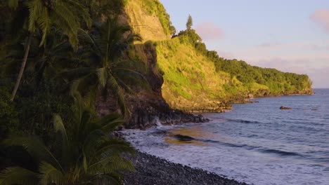 hawaiian palm trees leaning in towards a rocky shore on maui