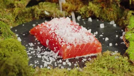 salted salmon on mossy slate