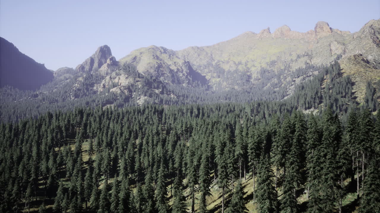 Lush evergreen forest meets majestic mountain peaks under bright sky