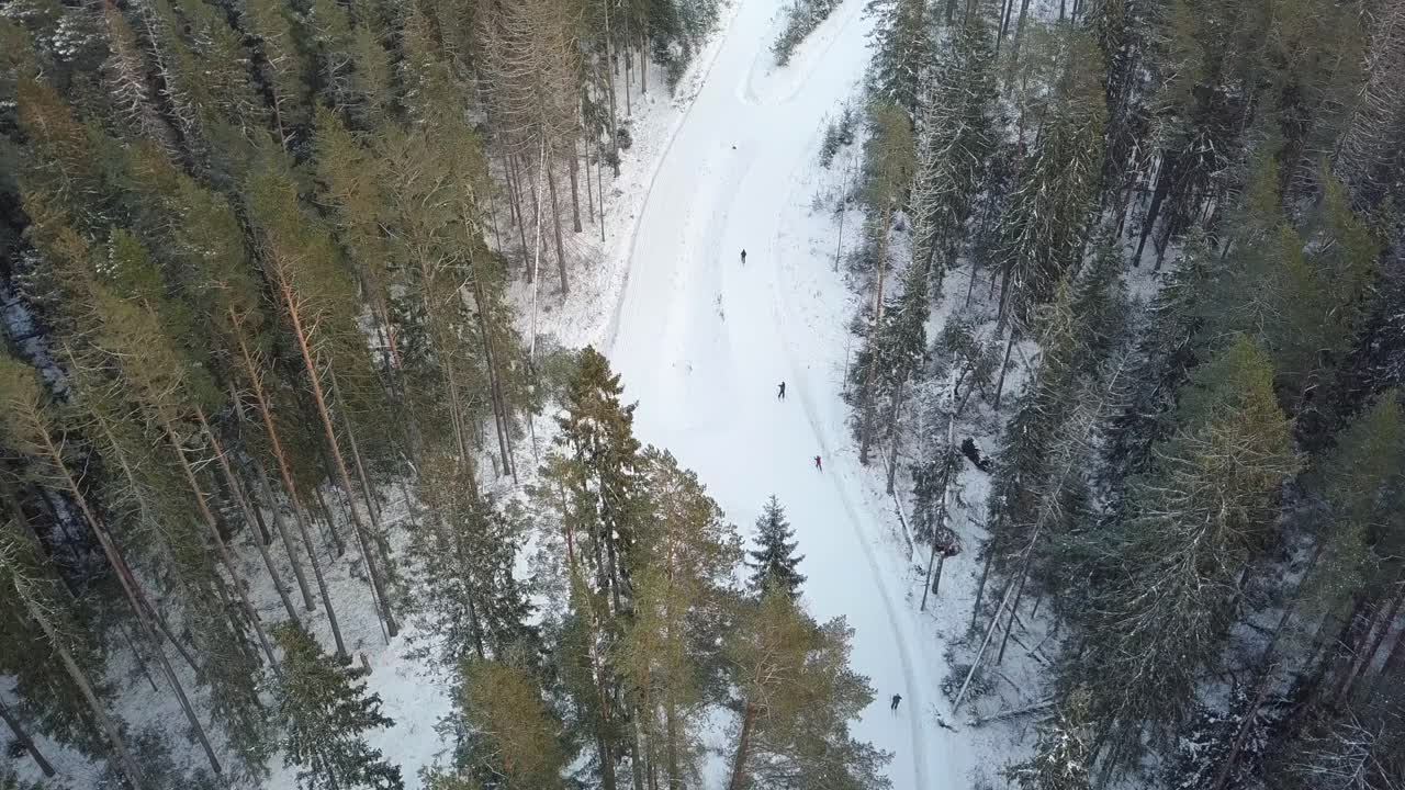 Sciatori su sentiero forestale in giornata invernale - Ripresa aerea con inclinazione verso il basso