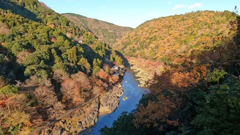 hermoso fondo de otoño