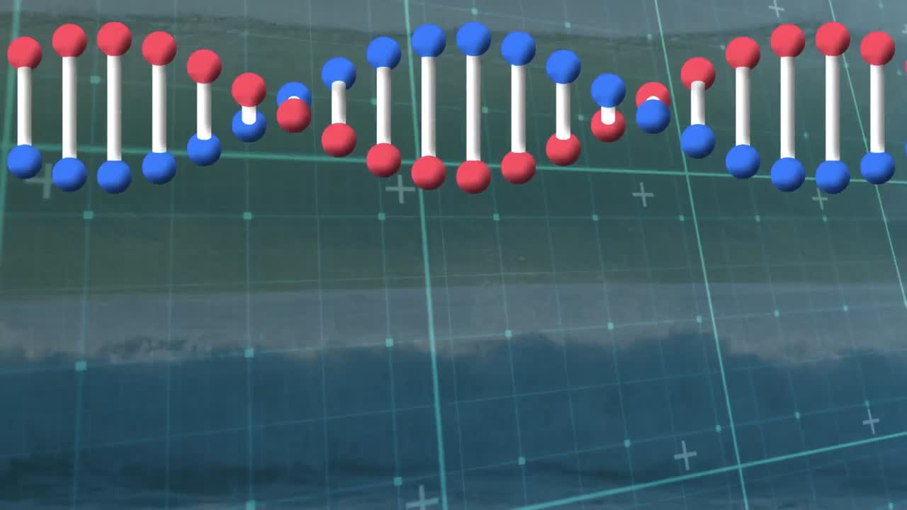 지형 위의 dna 가닥의 애니메이션