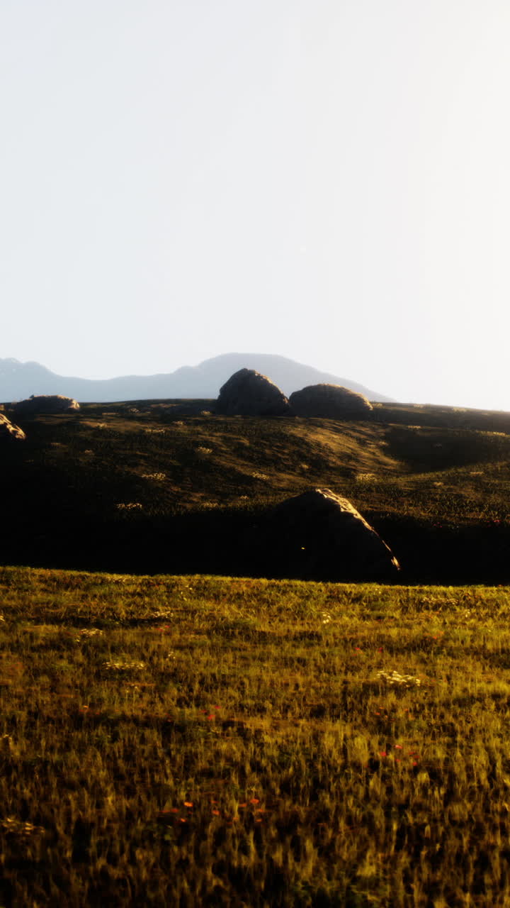 배경 에 산 이 있는 들판 의 경치 가 아름답다