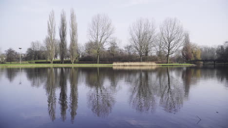 Un-Hermoso-Parque-En-Los-Países-Bajos-Durante-Un-Soleado-Día-De-Invierno-Con-Colores-Primaverales-Y-Patos-Nadando-En-El-Agua