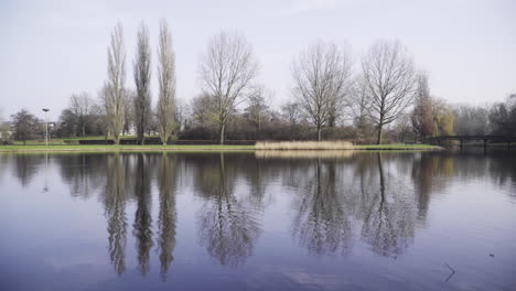 a beautiful park in the netherlands during a sunny winter day with spring colors and ducks swimming in the water
