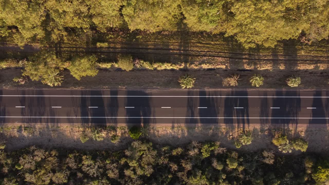 toma aérea de arriba hacia abajo de una tranquila carretera vacía rodeada de árboles forestales iluminados al atardecer