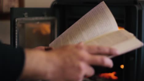 un chico leyendo un libro frente a la chimenea