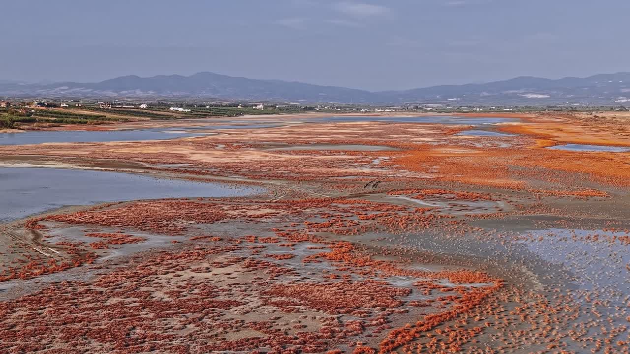 Exploring the salt flats in Greece during the dry season