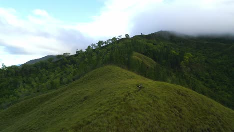 a cinematic fly by shot of a hill