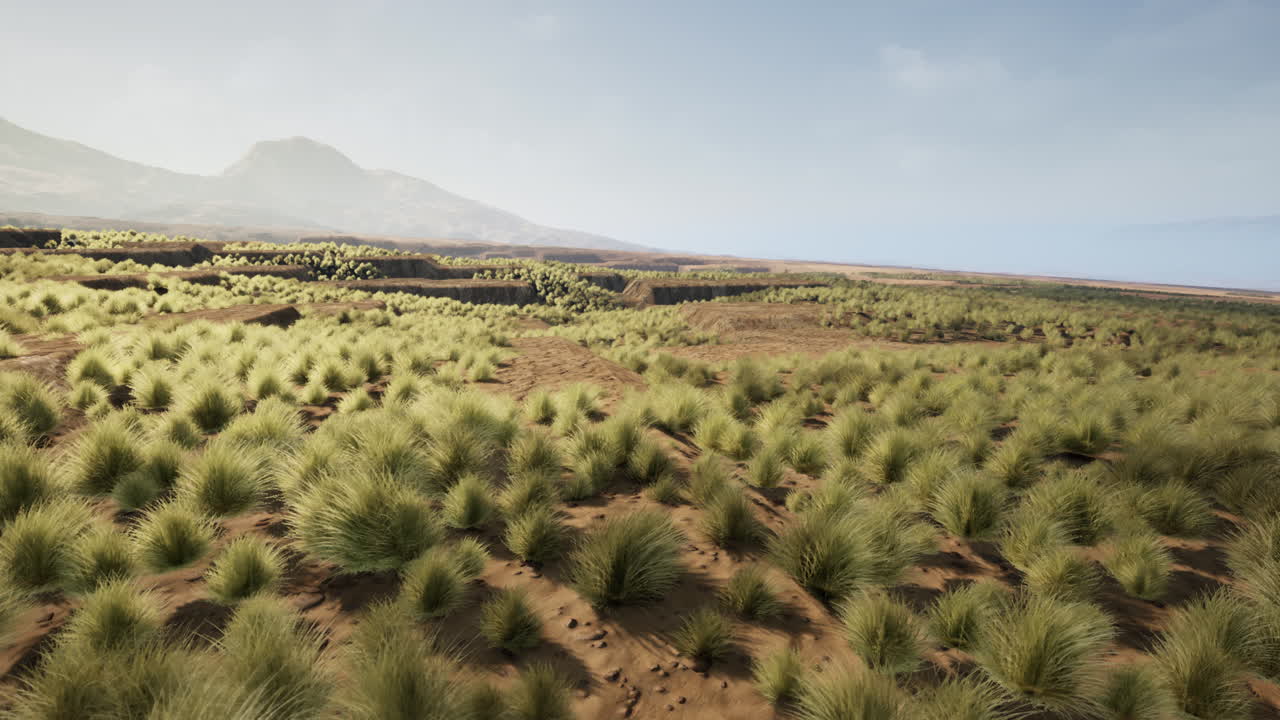 paisaje desértico con hierba y montañas