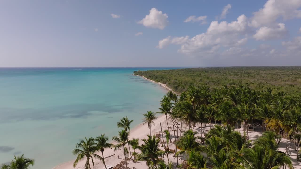 Vista aérea de una playa tropical con palmeras y agua turquesa
