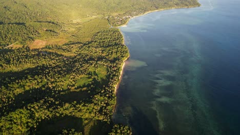 Vegetated Shores With Tropical Mangrove Forests In Barangay Yocti, San Andres, Catanduanes, Philippines. Aerial Drone Shot