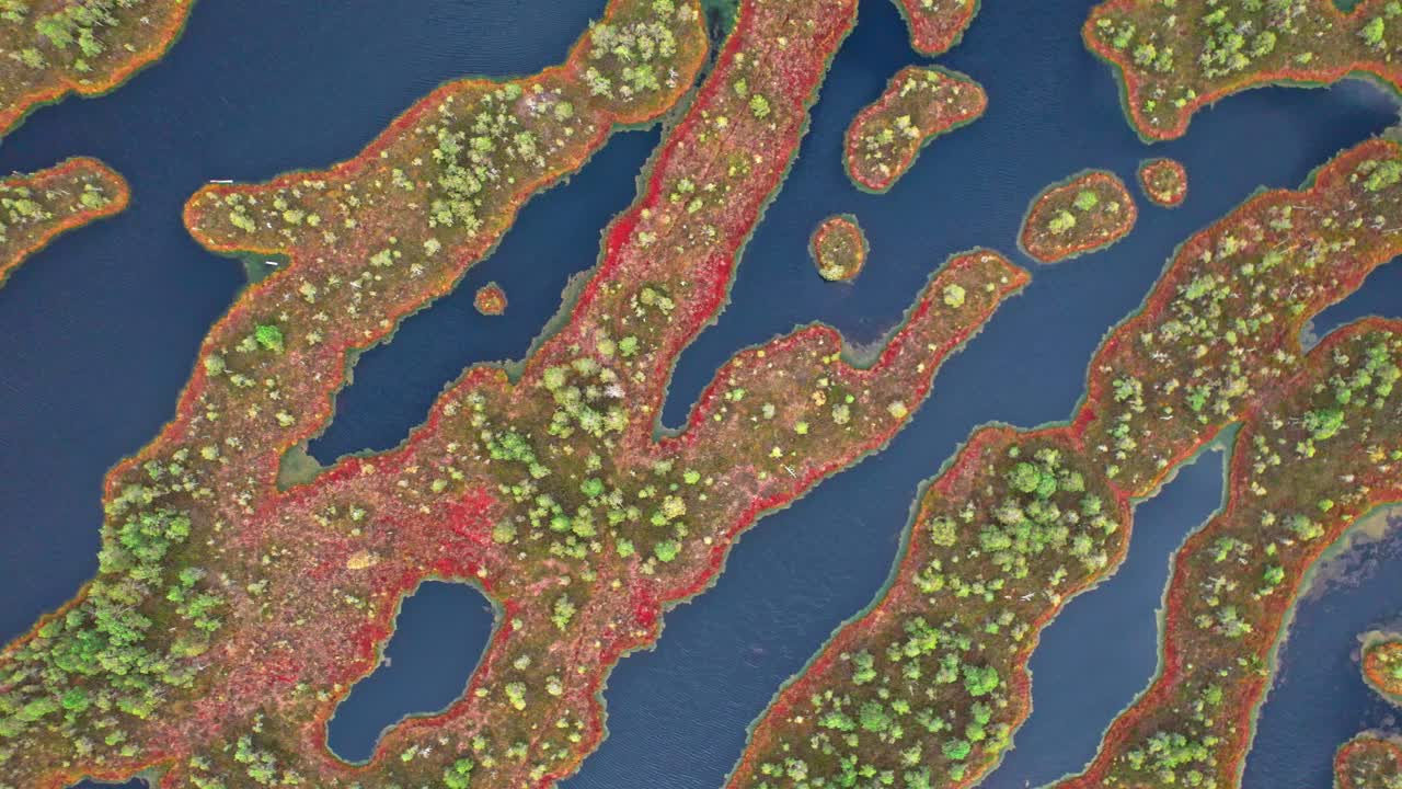 Discovering the unique beauty of Kemeri swamp in Latvia from above