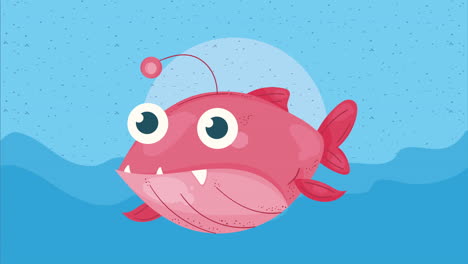 cute red fish sealife animation