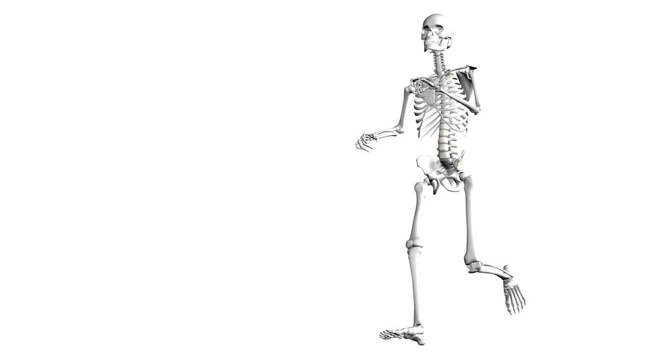3D skeleton in white on a white background running in loop