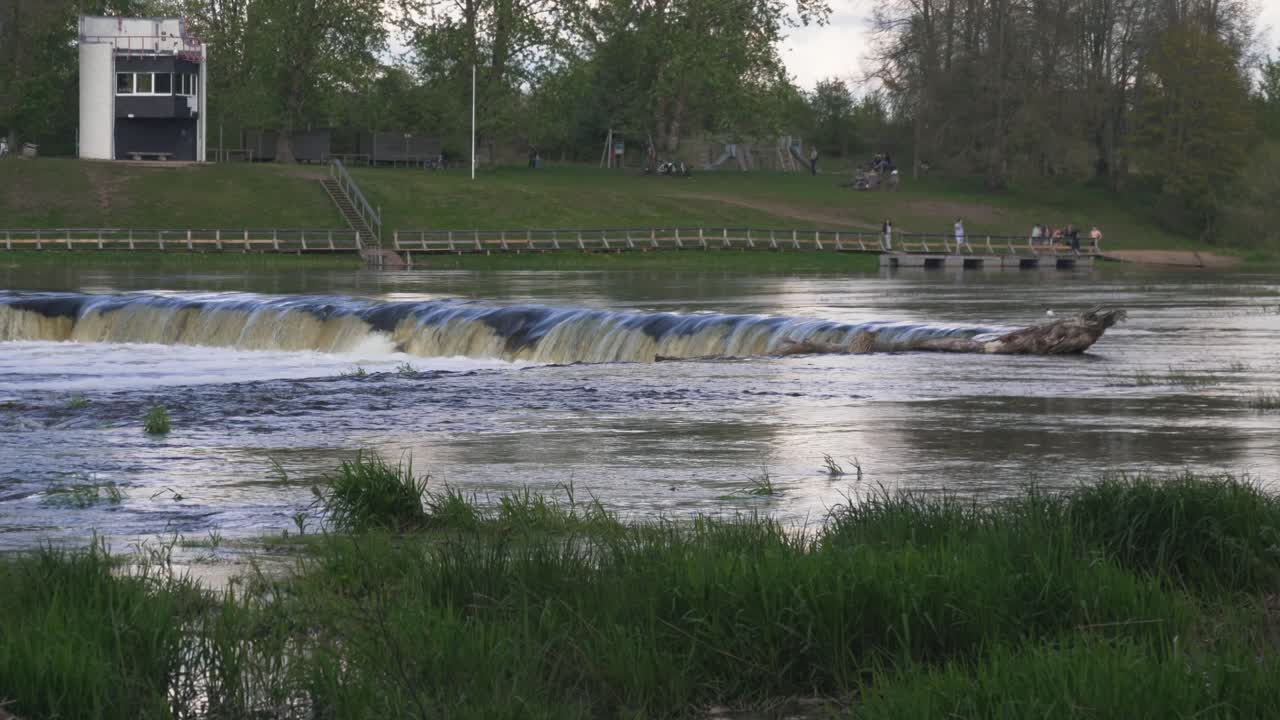 벤타스 룸바 폭포의 날치