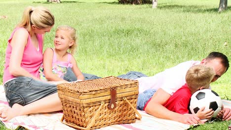 parents and children on a park after having a picnic