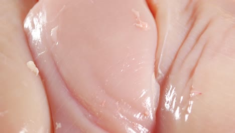 close-up of raw chicken meat