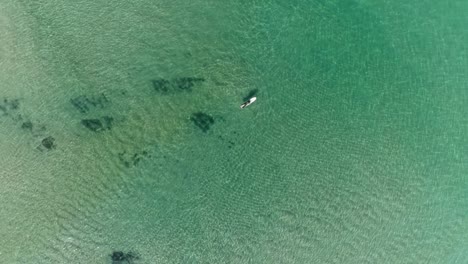 vista aérea del surfista acostado en su tabla en aguas cristalinas sin surf mientras el dron asciende mientras gira