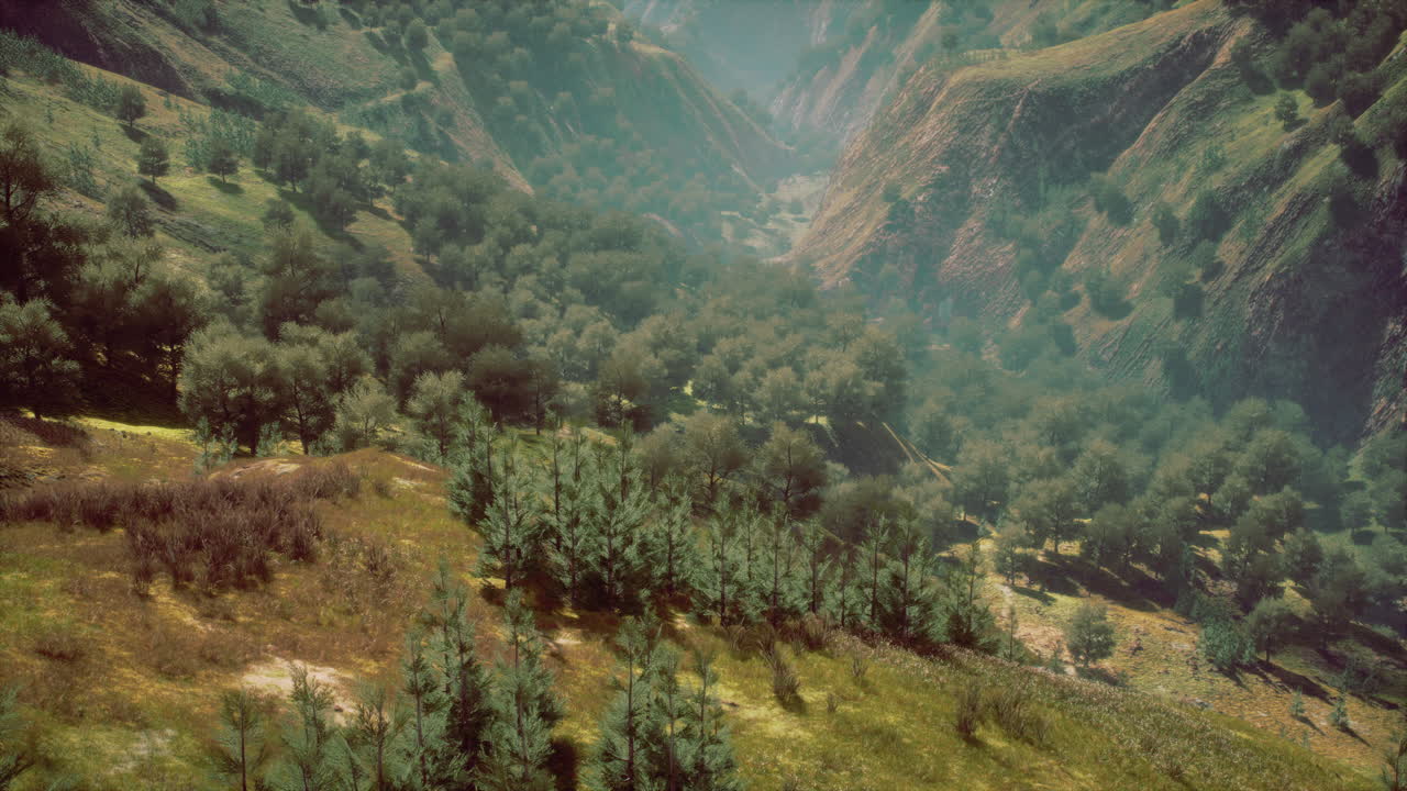 alta montaña por la mañana