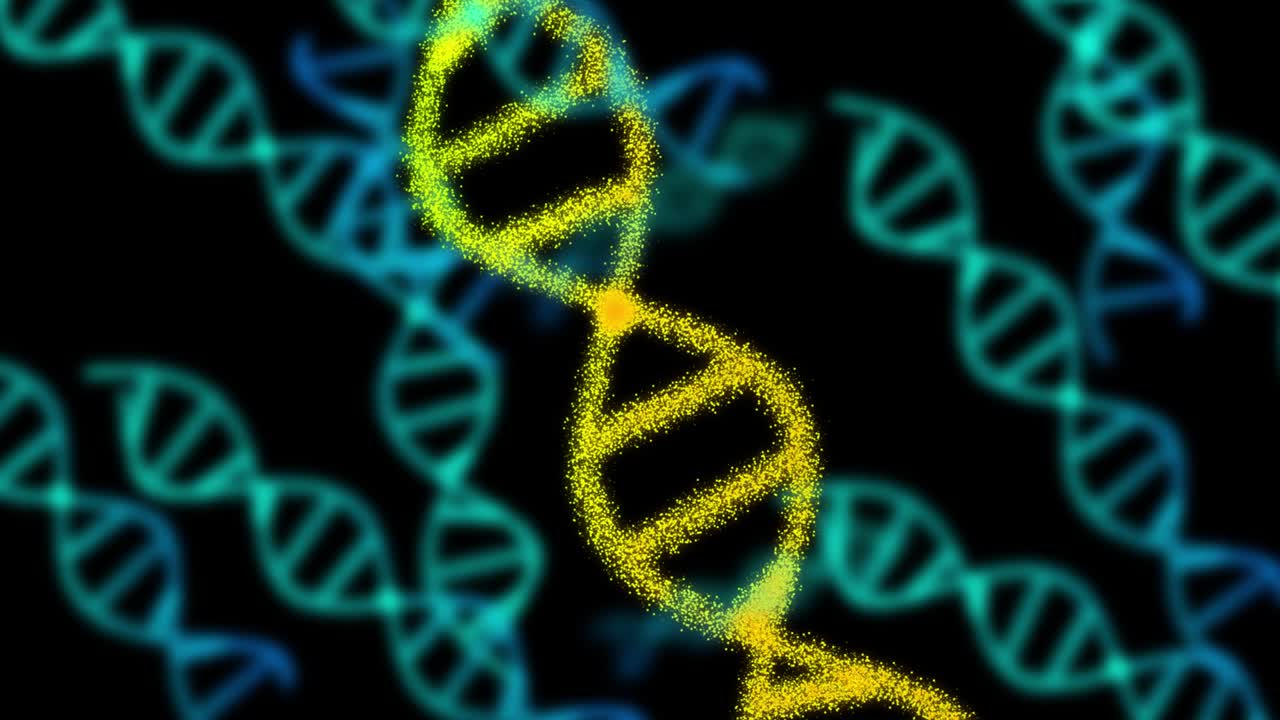 2D animation of A lot of DNA composed of particles on a black background. 60FPS. The object is oblique. The focus is on the front.