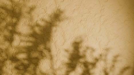 shadow of plant branches on textured yellow plaster wall. minimal nature-inspired background with soft natural light and rough stucco surface. design for wallpaper, banner, vertical