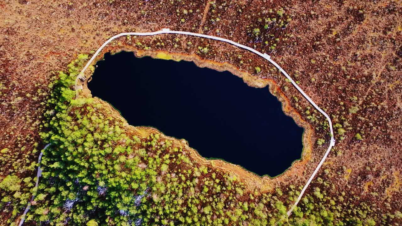 Circular drone of pristine bog lake and wooden path in Northern Europe spring