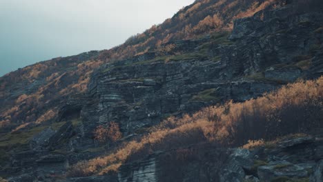 Dunkle,-Bröckelnde-Felsen,-Die-Von-Spärlicher-Vegetation-Bedeckt-Sind