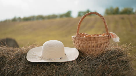 sombrero de sol y canasta de picnic tejida descansando en balas de heno en vastas tierras de cultivo, evocando calor y relajación, tranquilo entorno rural con campos dorados, colinas onduladas y suave luz natural