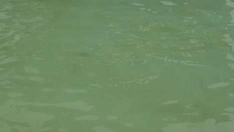 wave-pool-water-with-blue-floor-mat-and-reflection-of-stripes