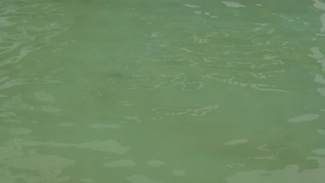 agua de la piscina de olas con alfombra azul y reflejo de rayas