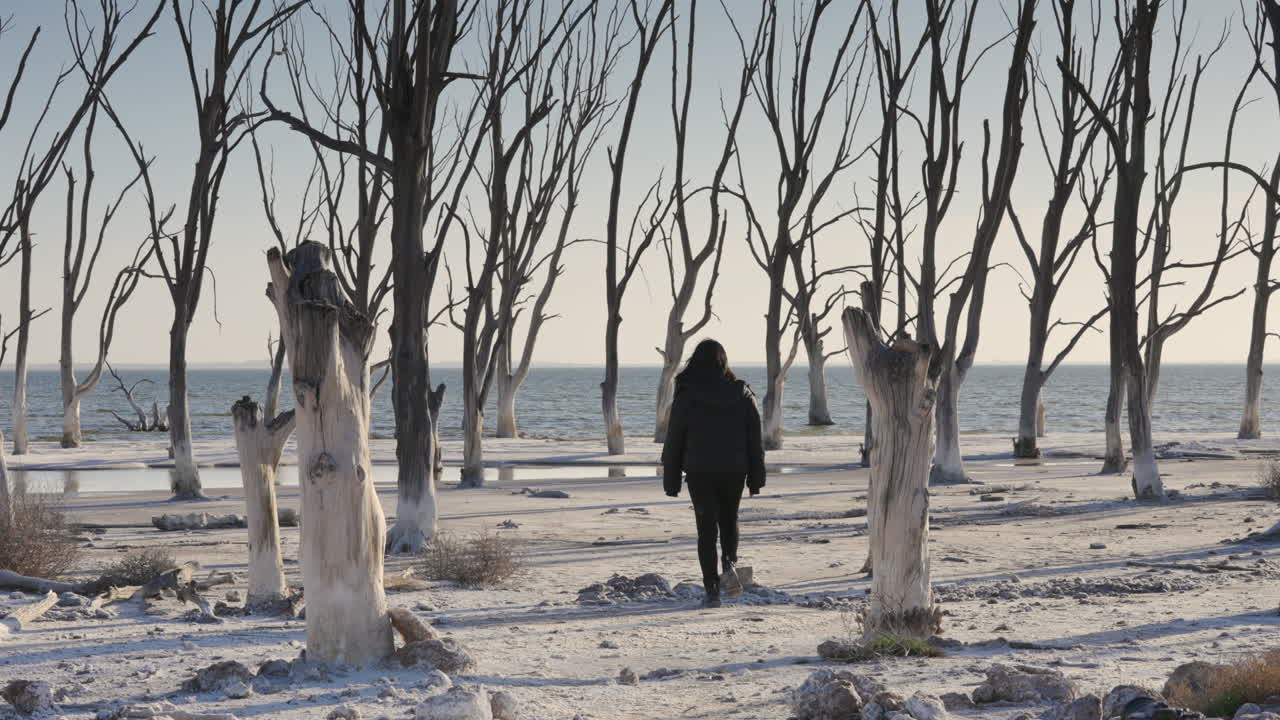 Donna che cammina attraverso un paesaggio invernale brullo con alberi spogli.