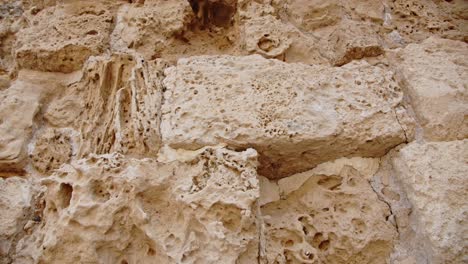 antique remains of limestone wall in city of salamis, close up view