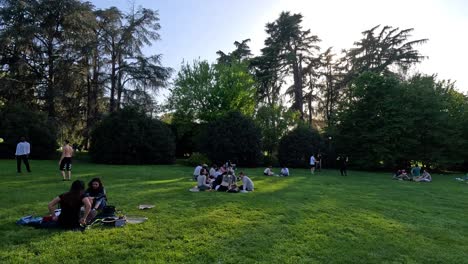 groups enjoying a sunny day in the park