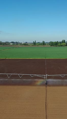 water sprinkler system working on vegetable plantation