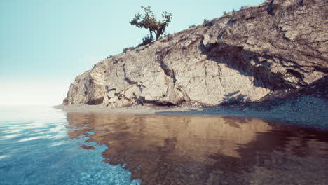 peaceful ocean beach with a cliff and a lone tree