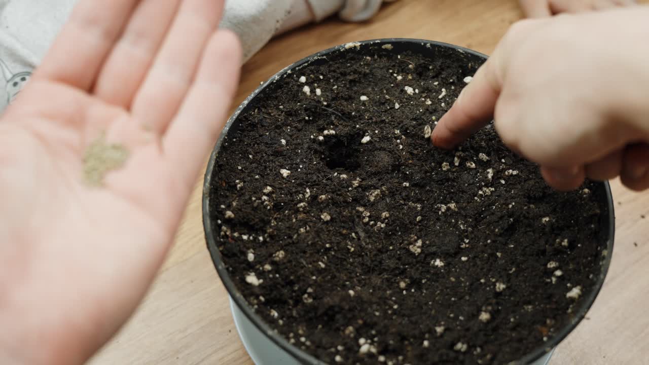 DIY person plants seed in flowerpot with dark soil, POV
