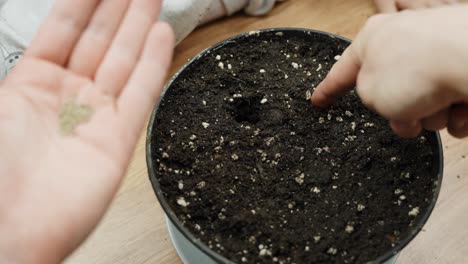 diy person plants seed in flowerpot with dark soil, pov