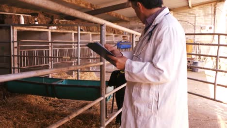 veterinary physician noting on a clipboard