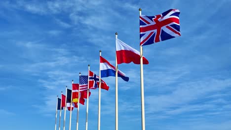 line of allied flags fluttering in unity under a beautiful bright blue sky.
