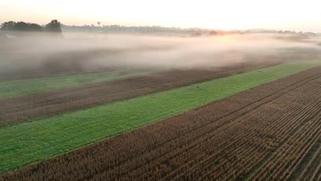 low fog over rural america at sunrise