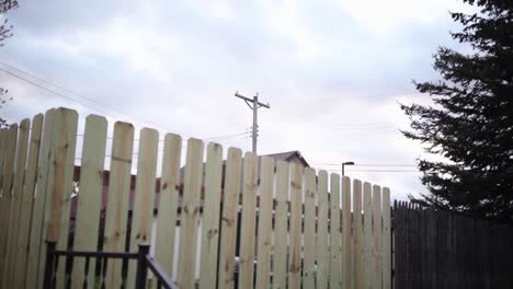 alley view fence and electric pole