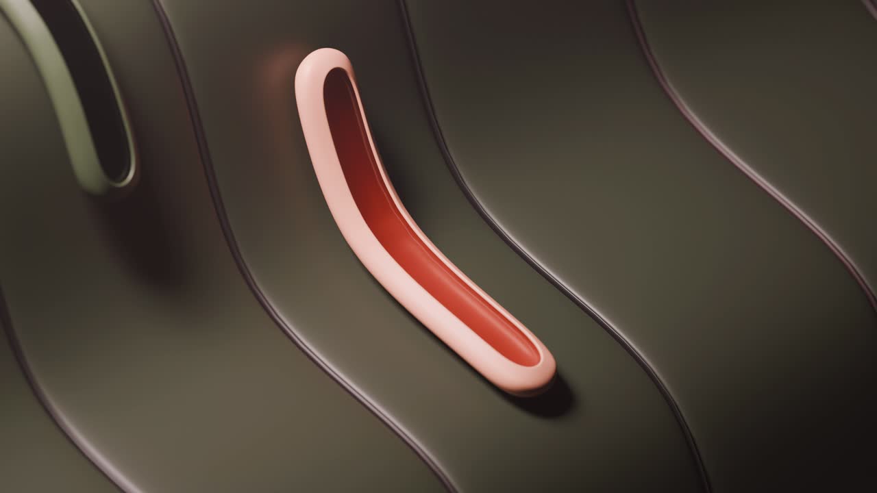 Abstract 3D Organic Curves