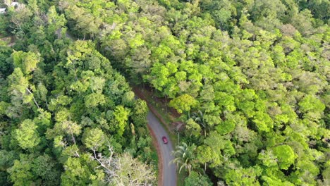Costa-Rica-drone-top-view-of-a-tree-forest-with-a-road-in-the-middle-and-a-car-driving-by