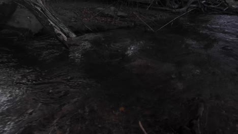 water flow river creek forest mountain cold stream up-close shallow rapids moving fast