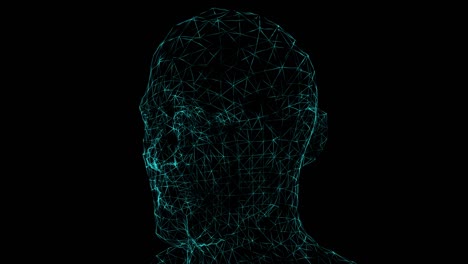 human head, hologram effect, loop animation