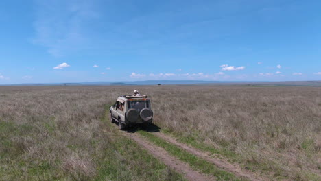 drone shot of off-road vehicle drives through grasslands in serengeti